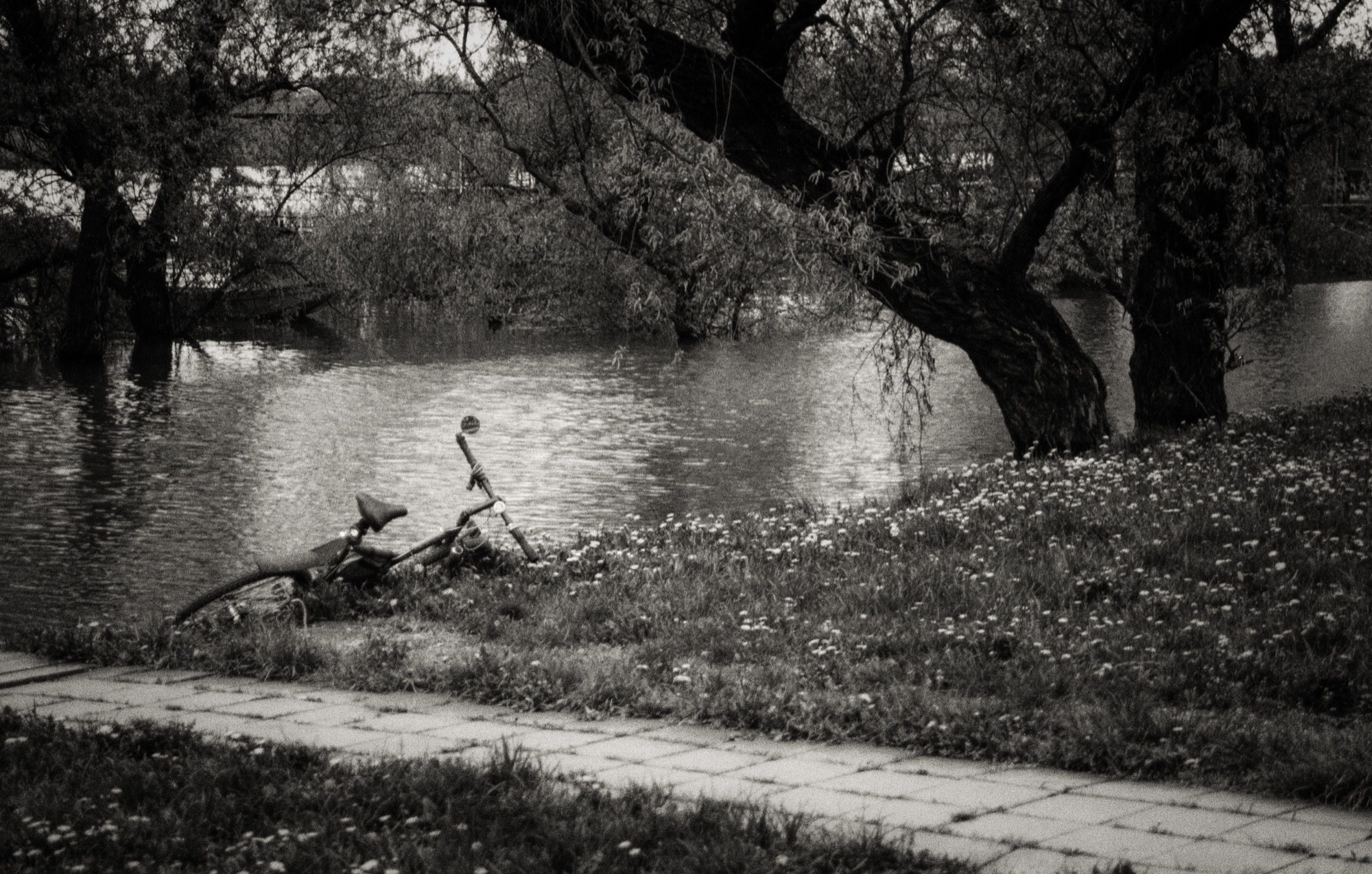 By the River